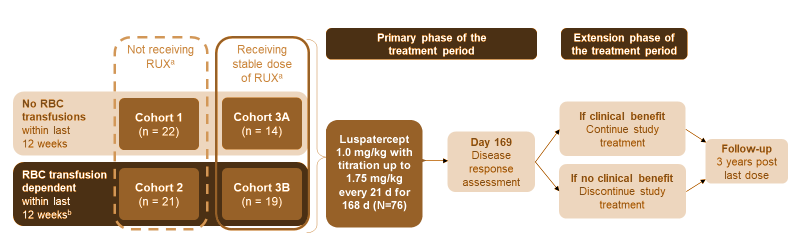 Study Design of the phase 2 trial evaluating luspatercept for myelofibrosis-related anemia